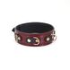 Шкіряний нашийник з повідцем Liebe Seele Wine Red Collar and Leash, 3 кільця для кріплення SO9451 фото 2