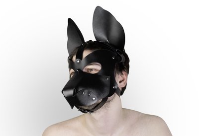 Feral Feelings 2-in-1 Leather Dog Mask, removable muzzle