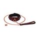 Liebe Seele Wine Red Curved Collar with Leash