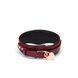 Liebe Seele Wine Red Curved Collar with Leash