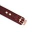 Liebe Seele Wine Red Curved Collar with Leash