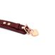 Liebe Seele Wine Red Curved Collar with Leash