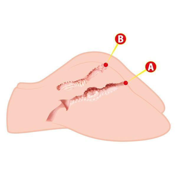Kokos Big Hip Hera 2WayPlus Masturbator with Vibration and Massage, Two Entrances: Vagina and Anus