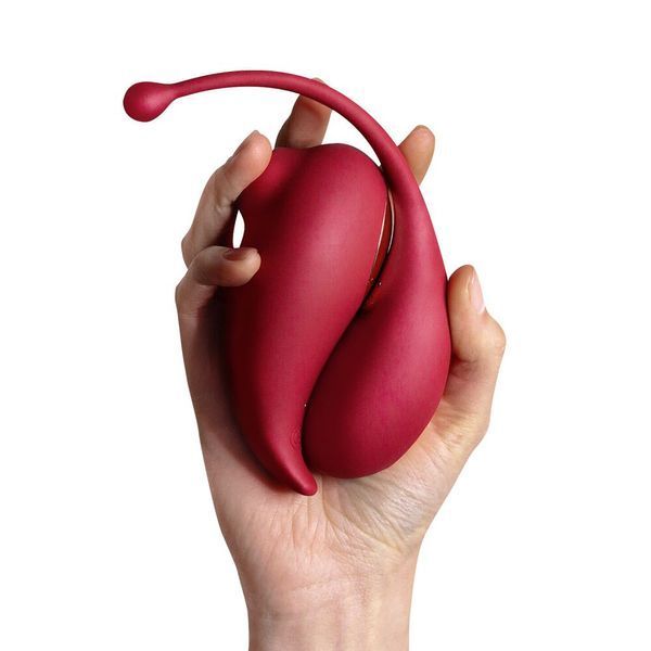 Adrien Lastic Inspiration Smart Toy: A Smartphone-Controlled Vibrating Egg and Vacuum Stimulator