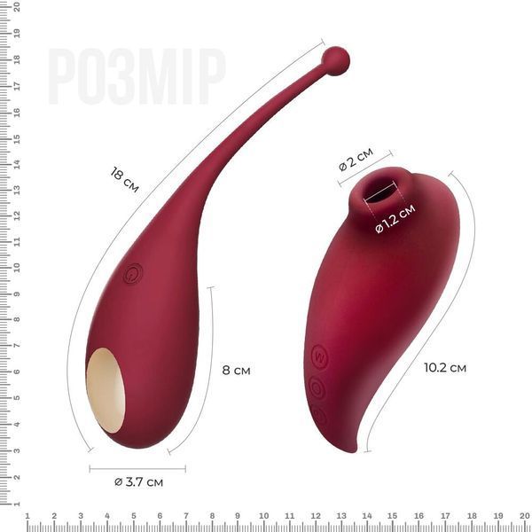 Adrien Lastic Inspiration Smart Toy: A Smartphone-Controlled Vibrating Egg and Vacuum Stimulator