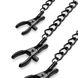 Зажимы для сосков и клитора Bedroom Fantasies Nipple & Clit Clamps - Black SO8818 фото 2