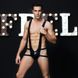 Men's erotic costume "Revealing Fred" One Size Black