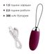 Egg vibrator with remote control Svakom Elva Violet