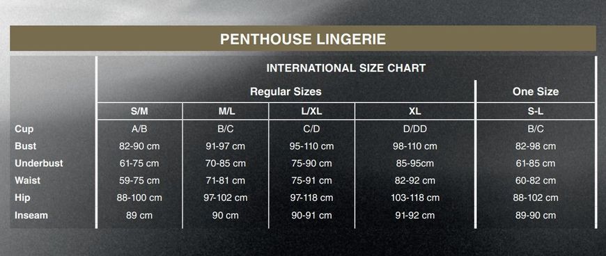 Комплект бралет та стрінги Penthouse - Double Spice Nude L/XL SO5246 фото