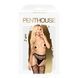 Penthouse Special Extra Black XL Stockings with Garter Belt, Black
