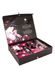 Shunga NAUGHTY Cosmetic Kit Gift Set: Lubricants and Stimulants for Him and Her