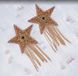 Fringed Nipple Stars JSY Nipple Sticker RT236112 Gold, stickers