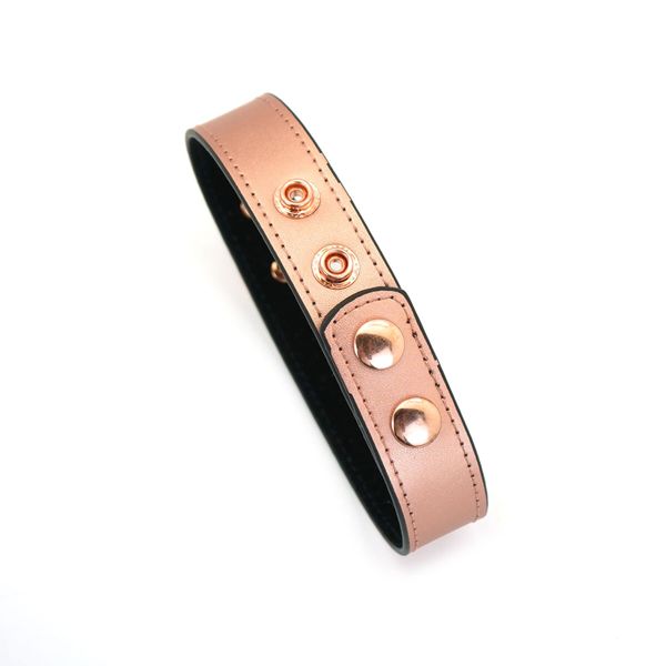 Нашийник із затискачами для сосків Liebe Seele Rose Gold Memory Collar with Nipple Clamps SO9495 фото