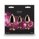 Набір анальних пробок NS Novelties Rear Assets - Trainer Kit - Rose Gold - Pink Gem SX4355 фото 4