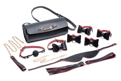 Master Series Bow Luxury BDSM Set With Travel Bag