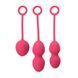 Svakom Nova Plum Red Off-center Vaginal Ball Set